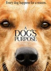 دانلود فیلم A Dog's Purpose 2017