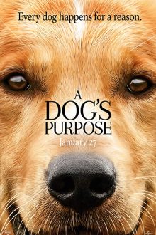 دانلود فیلم A Dog’s Purpose 2017  با زیرنویس فارسی بدون سانسور