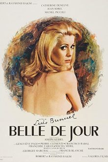 دانلود فیلم Belle de Jour 1967  با زیرنویس فارسی بدون سانسور