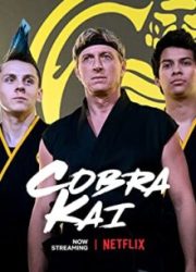 دانلود سریال Cobra Kaiبدون سانسور با زیرنویس فارسی