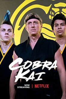 دانلود سریال Cobra Kai کبرا کای با زیرنویس فارسی بدون سانسور