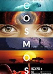 دانلود سریال Cosmos: A Spacetime Odysseyبدون سانسور با زیرنویس فارسی