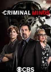 دانلود سریال Criminal Mindsبدون سانسور با زیرنویس فارسی