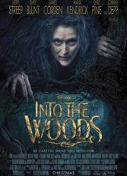 دانلود فیلم Into the Woods 2014