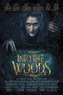 دانلود فیلم Into the Woods 2014  با زیرنویس فارسی بدون سانسور