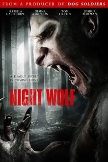 دانلود فیلم Night Wolf 2010  با زیرنویس فارسی بدون سانسور
