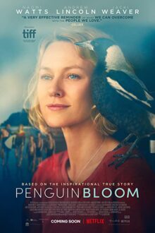 دانلود فیلم Penguin Bloom 2020  با زیرنویس فارسی بدون سانسور