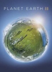 دانلود سریال Planet Earth IIبدون سانسور با زیرنویس فارسی
