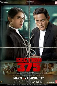 دانلود فیلم Section 375 2019  با زیرنویس فارسی بدون سانسور