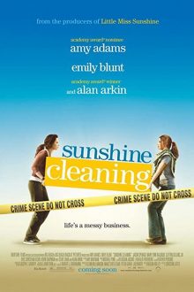 دانلود فیلم Sunshine Cleaning 2008  با زیرنویس فارسی بدون سانسور