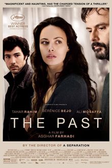 دانلود فیلم The Past 2013  با زیرنویس فارسی بدون سانسور