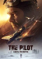 دانلود فیلم The Pilot. A Battle for Survival 2021