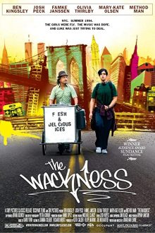 دانلود فیلم The Wackness 2008  با زیرنویس فارسی بدون سانسور