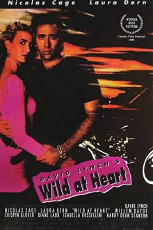 دانلود فیلم Wild at Heart 1990  با زیرنویس فارسی بدون سانسور