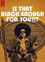دانلود فیلم Is That Black Enough for You?!? 2022