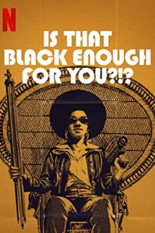 دانلود فیلم Is That Black Enough for You?!? 2022  با زیرنویس فارسی بدون سانسور