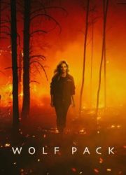 دانلود سریال Wolf Pack 2023– زیرنویس فارسی