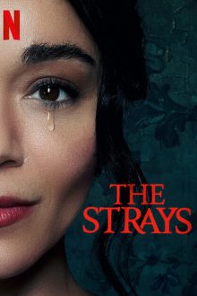 دانلود فیلم The Strays 2023  با زیرنویس فارسی بدون سانسور