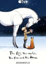 دانلود فیلم The Boy, the Mole, the Fox and the Horse 2022 زیرنویس فارسی