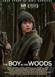 دانلود فیلم The Boy in the Woods 2023